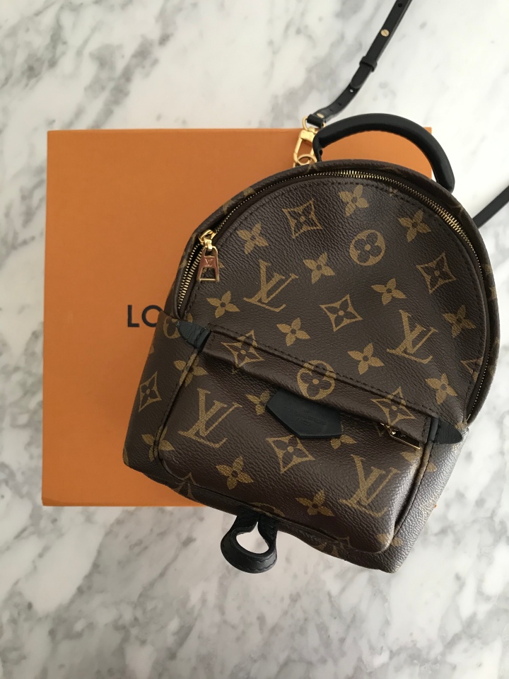 LOUIS VUITTON PALM SPRINGS MINI BACKPACK  WHAT FITS INSIDE THE PALM  SPRINGS MINI & IS IT WORTH IT? 